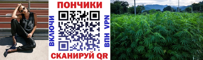 Наркотические вещества Жуковский Канабис  Галлюциногенные грибы  АМФЕТАМИН  МЕФ  ГАШ  Cocaine 