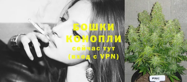 винт Кадников