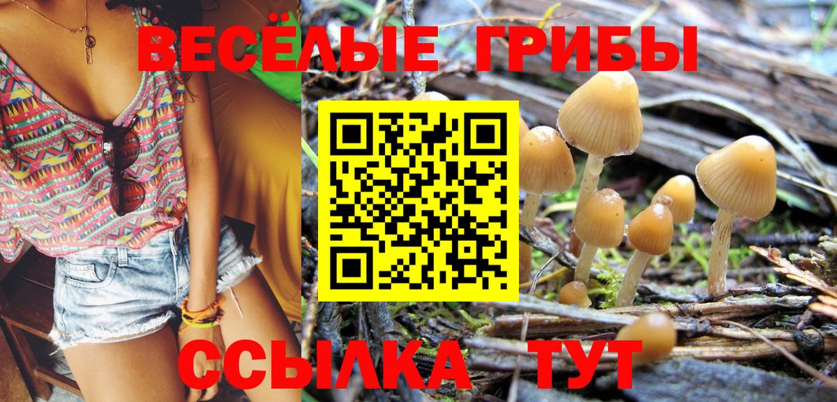 Галлюциногенные грибы прущие грибы  Вход с VPN  магазин продажи   Жуковский 